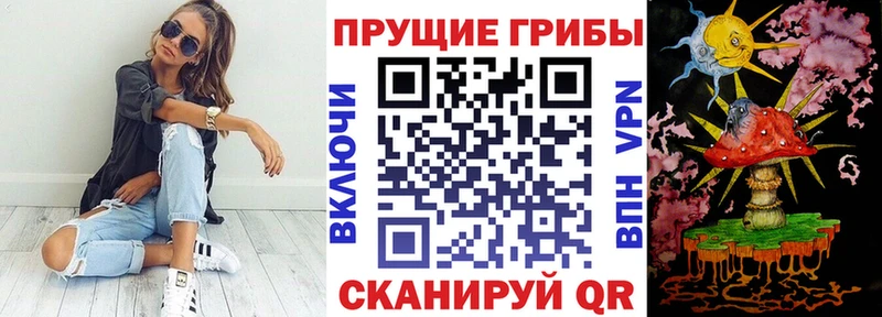 Псилоцибиновые грибы мицелий  наркота  mega как зайти  Александровск 