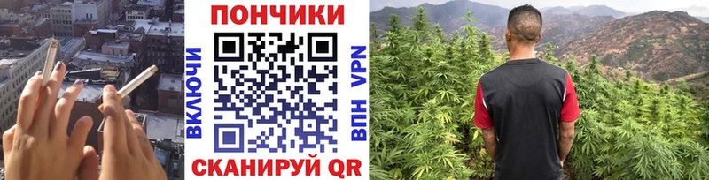 Канабис конопля  Александровск 